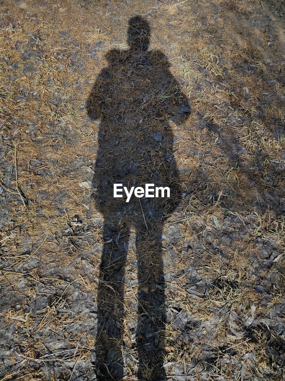 HIGH ANGLE VIEW OF SHADOW ON FIELD
