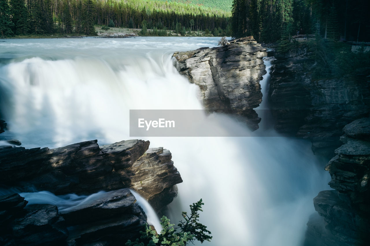 WATERFALL IN FOREST