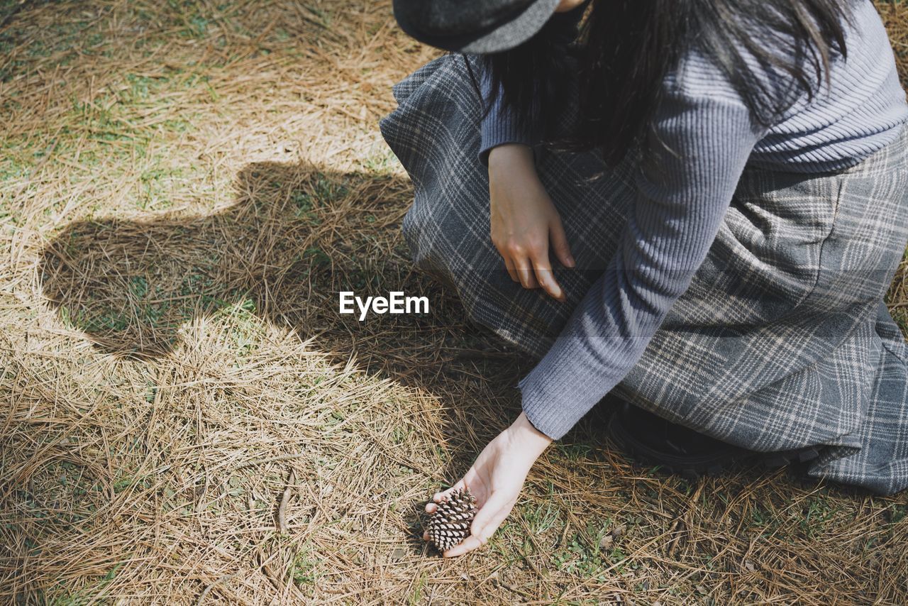 Woman holding pine cone on land