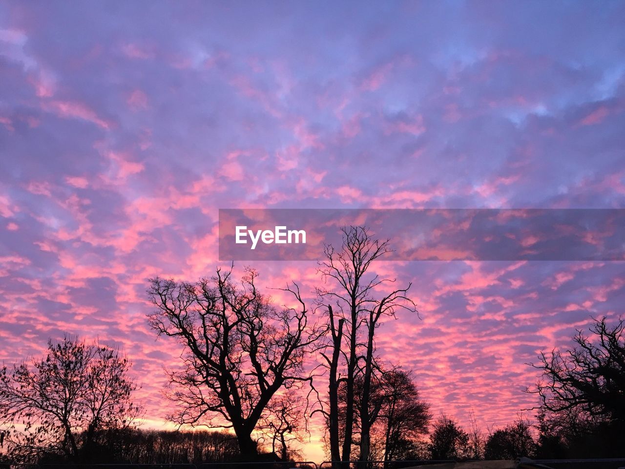 Silhouette of bare tree against cloudy sky