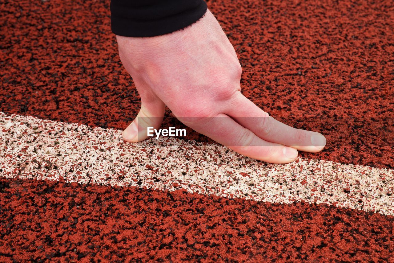 HIGH ANGLE VIEW OF HANDS ON RUG WITH RED LEAVES