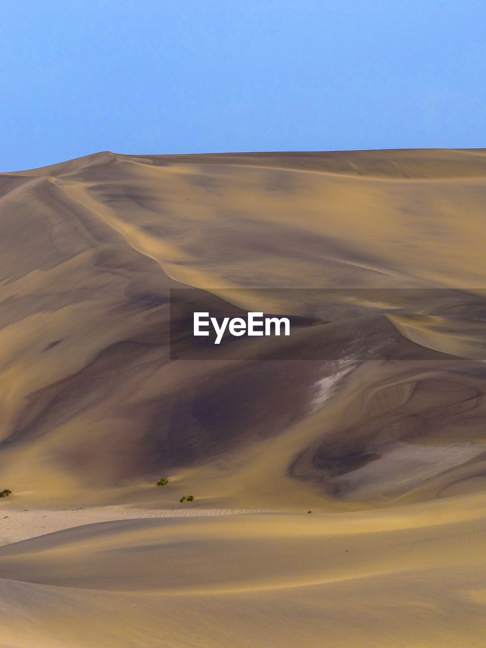 Photograph of a sand dune in the namib desert near swakopmund, namibia on a sunny dry season morning