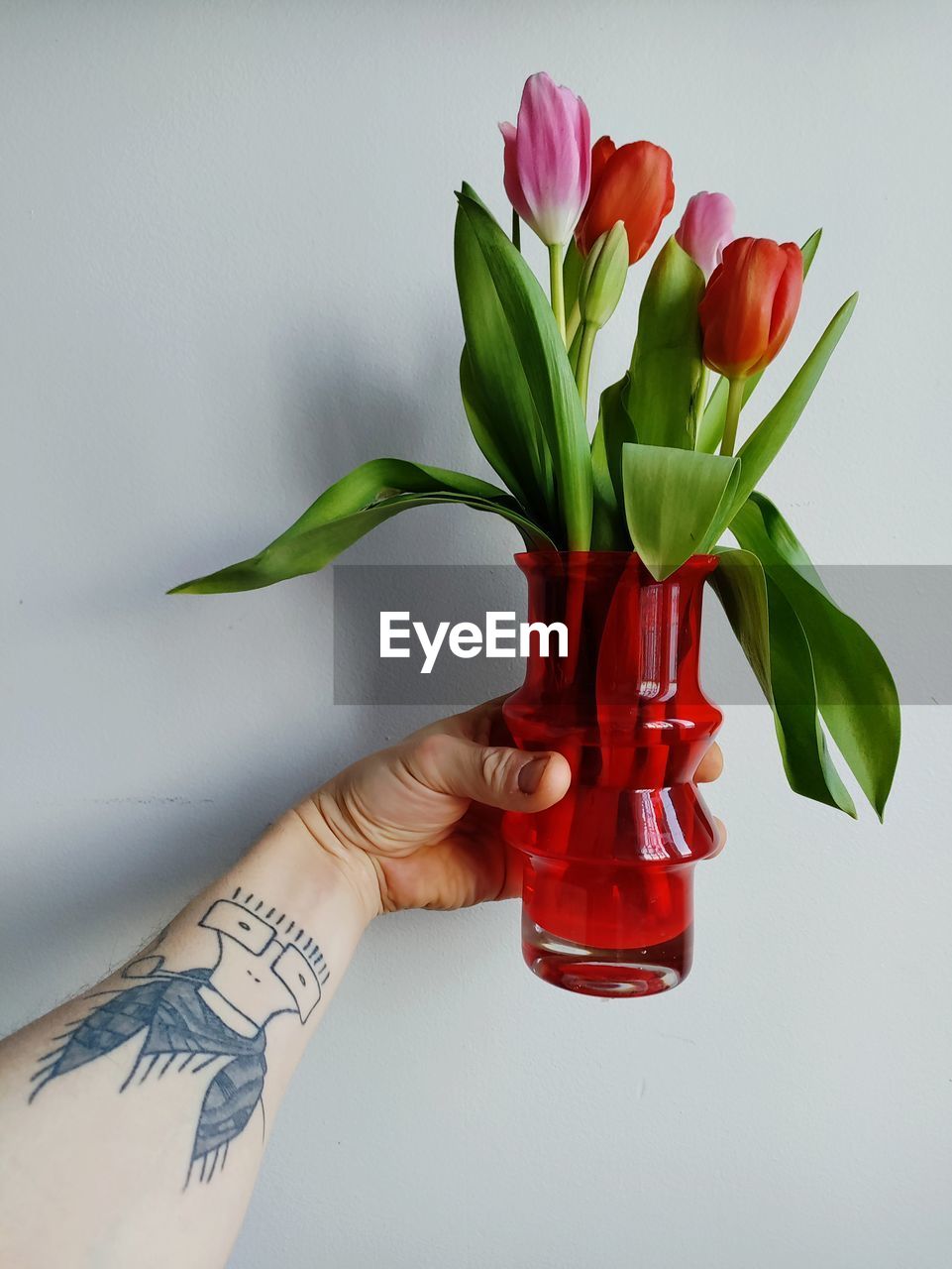 flower, plant, hand, flowering plant, nature, red, indoors, bouquet, one person, vase, floristry, freshness, cut flowers, holding, plant part, leaf, beauty in nature, floral design, pink, studio shot, close-up, adult, petal, fragility, lifestyles, rose, art, tulip, flower arrangement, flower head