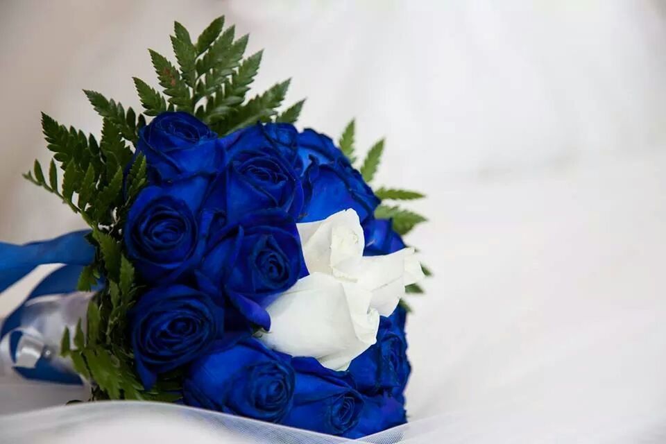 Blue rose bouquet against white background