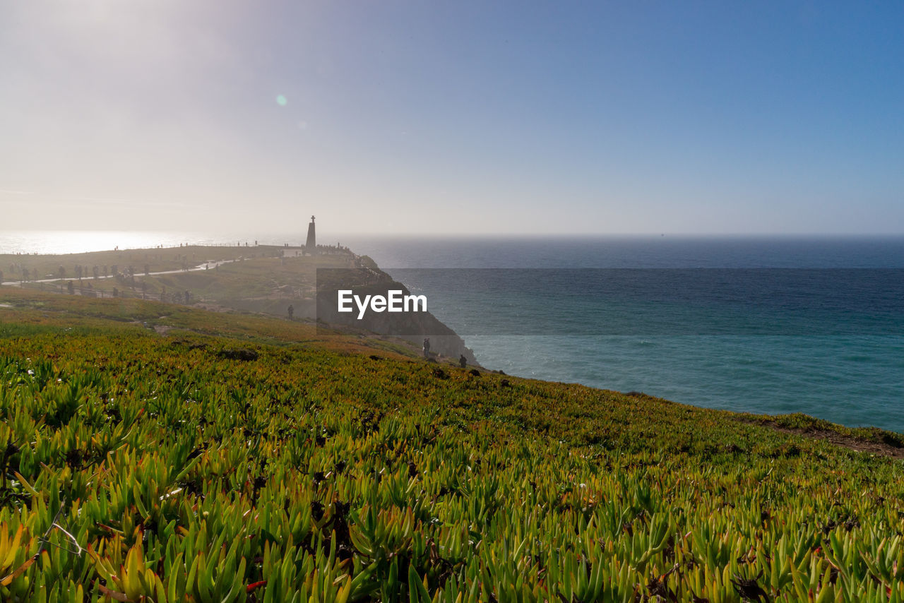 Scenic view of field by sea against clear sky