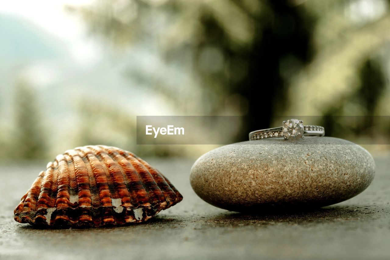 Close-up of shells, rock and wedding ring