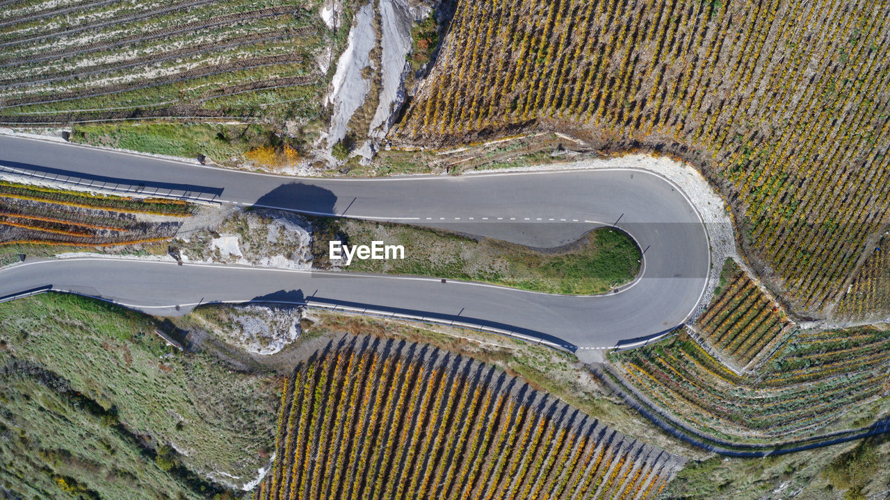 High angle view of road amidst trees