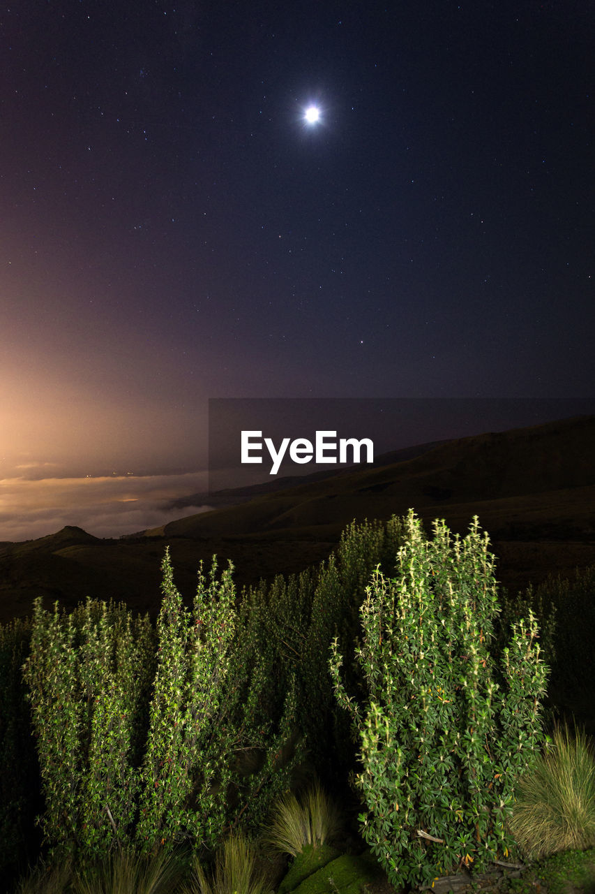 Scenic view of field against sky at night