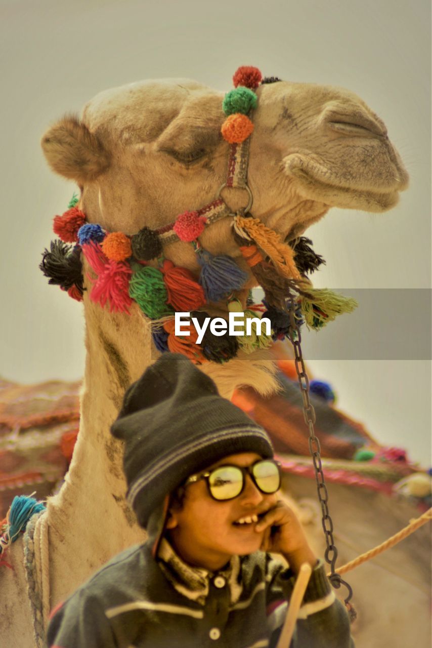 Man wearing sunglasses against camel and sky