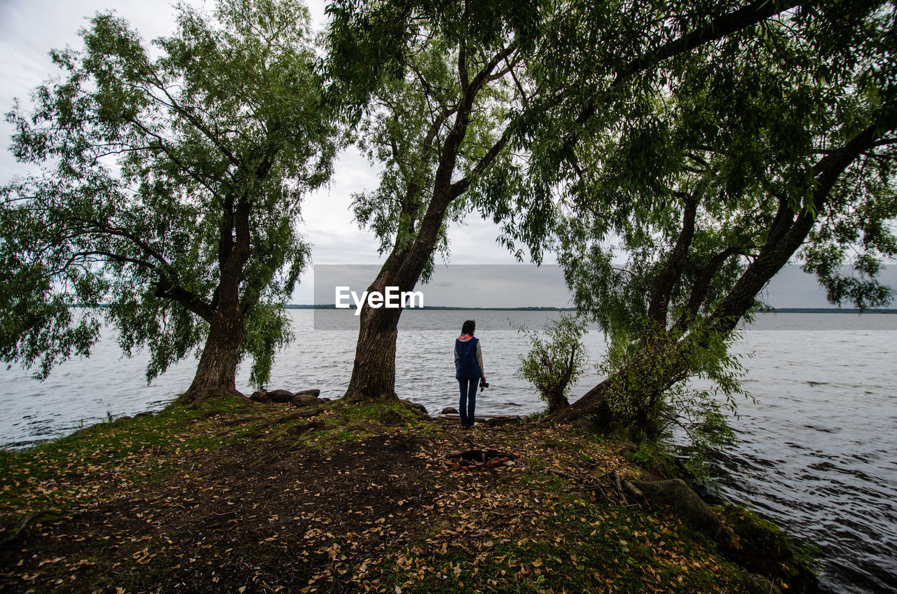 Rear view of woman looking at lake