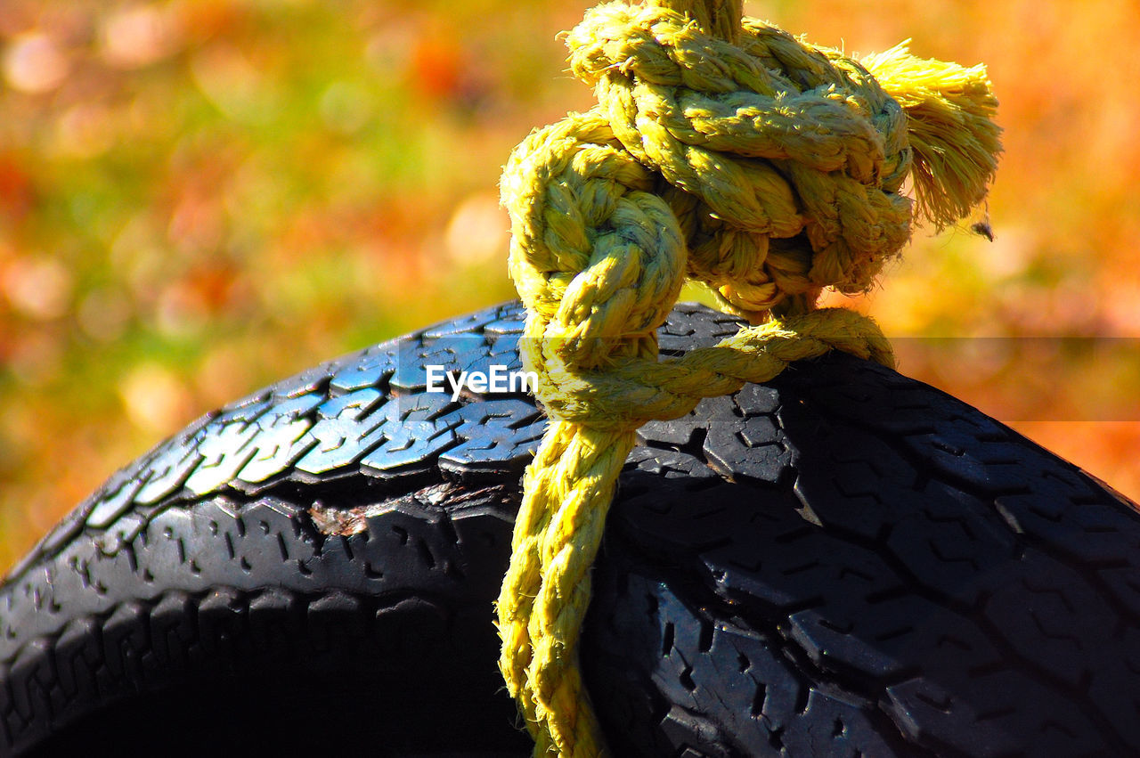 Close-up of tire swing