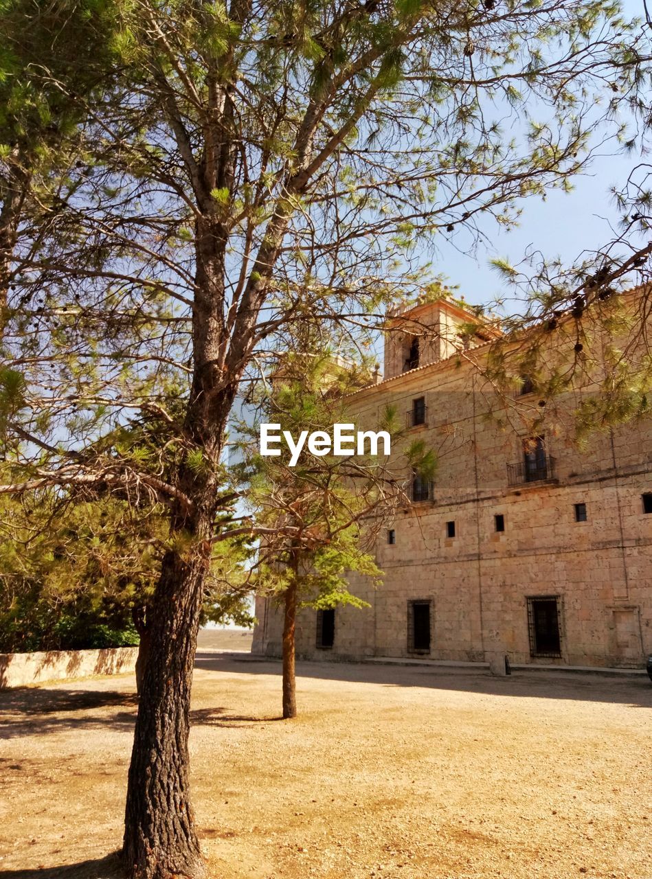 TREES IN FRONT OF HISTORIC BUILDING