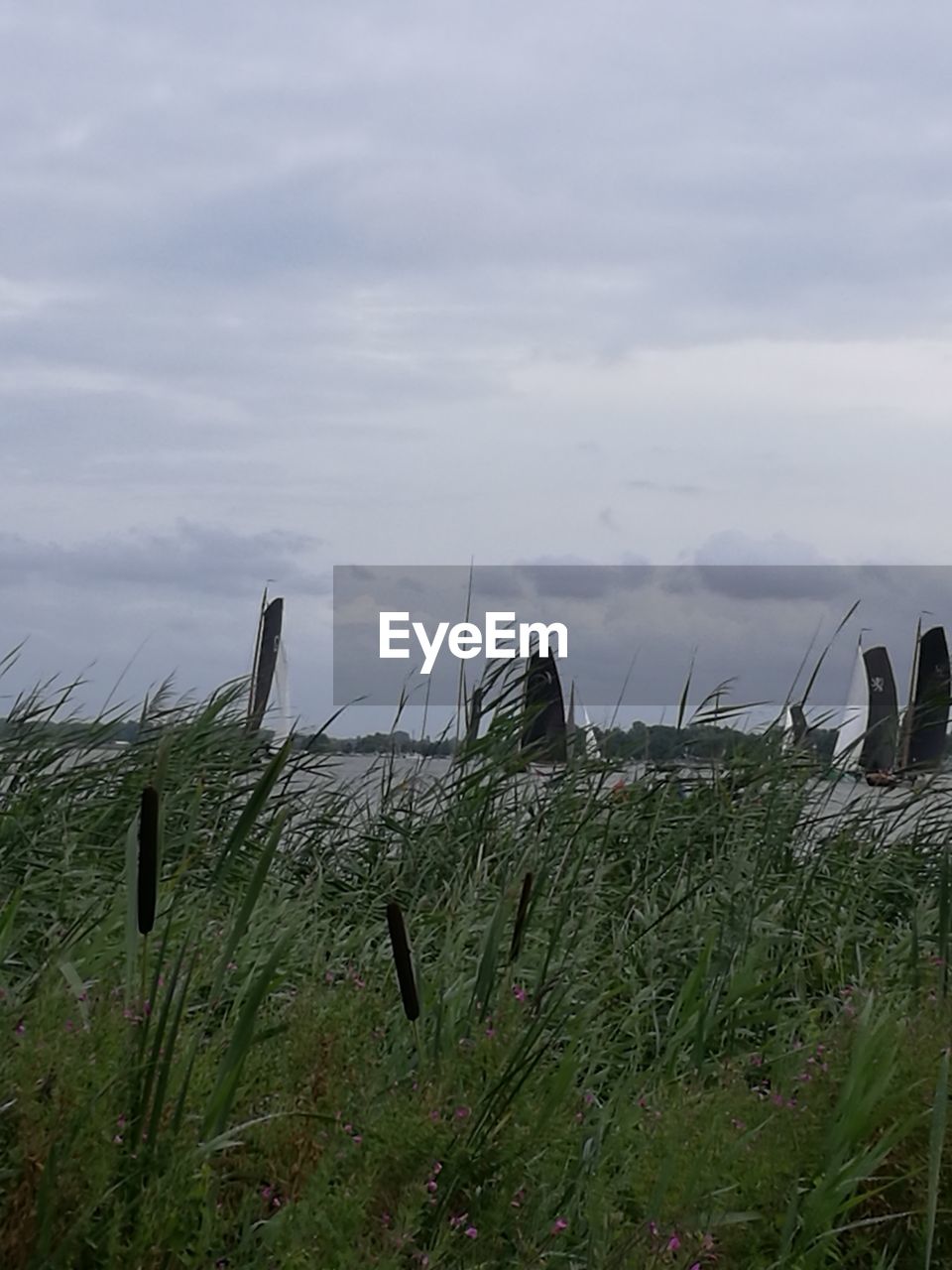 SCENIC VIEW OF LAND AGAINST SKY