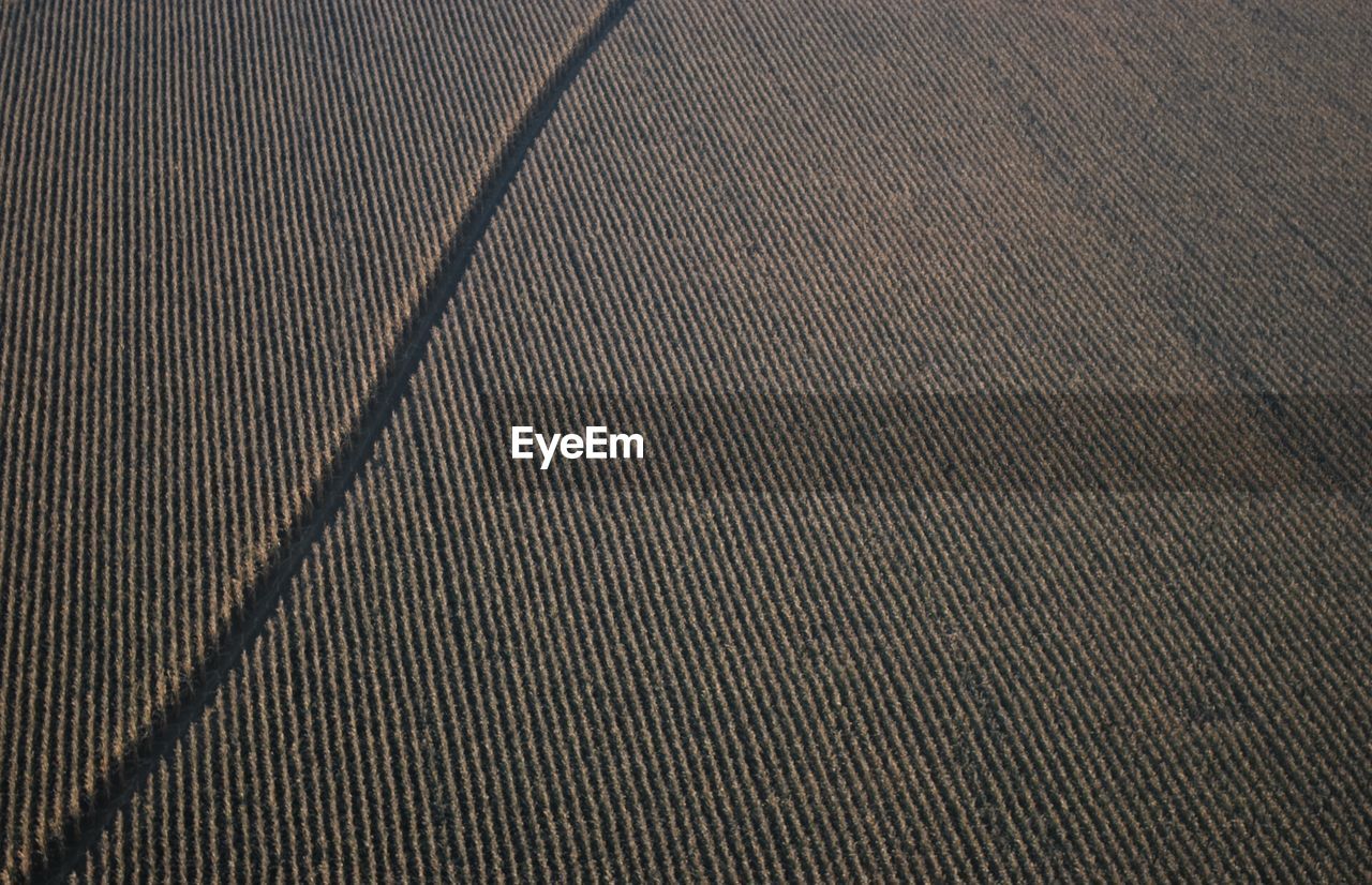 Aerial view of landscape