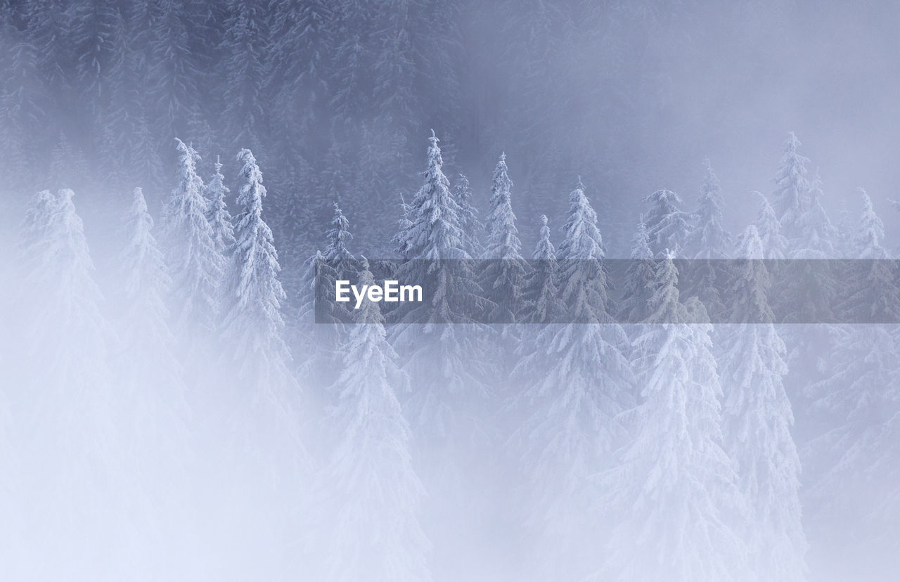 Full frame shot of snow against sky, rodnei mountains, romania 