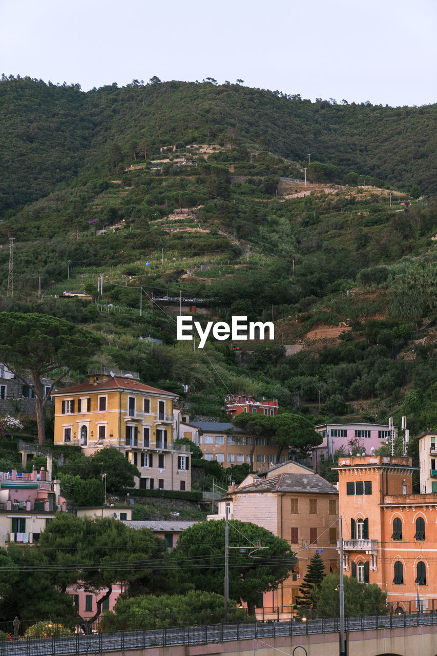 Multistory houses located on mountain slope covered with green trees on summer day in town