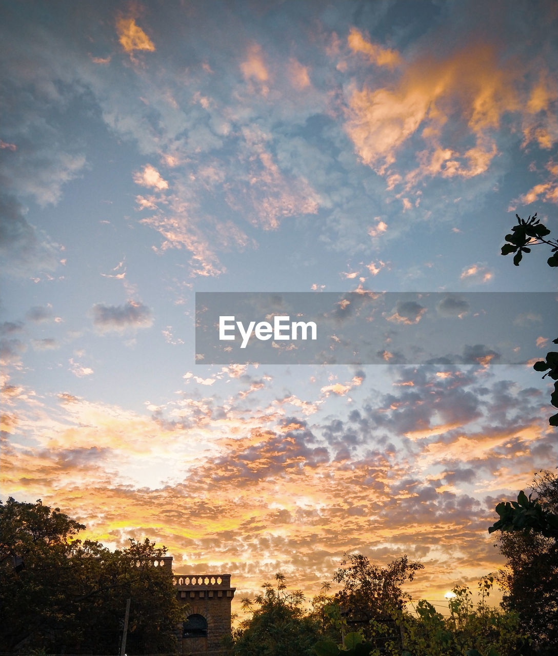 Low angle view of silhouette trees and buildings against sky during sunset