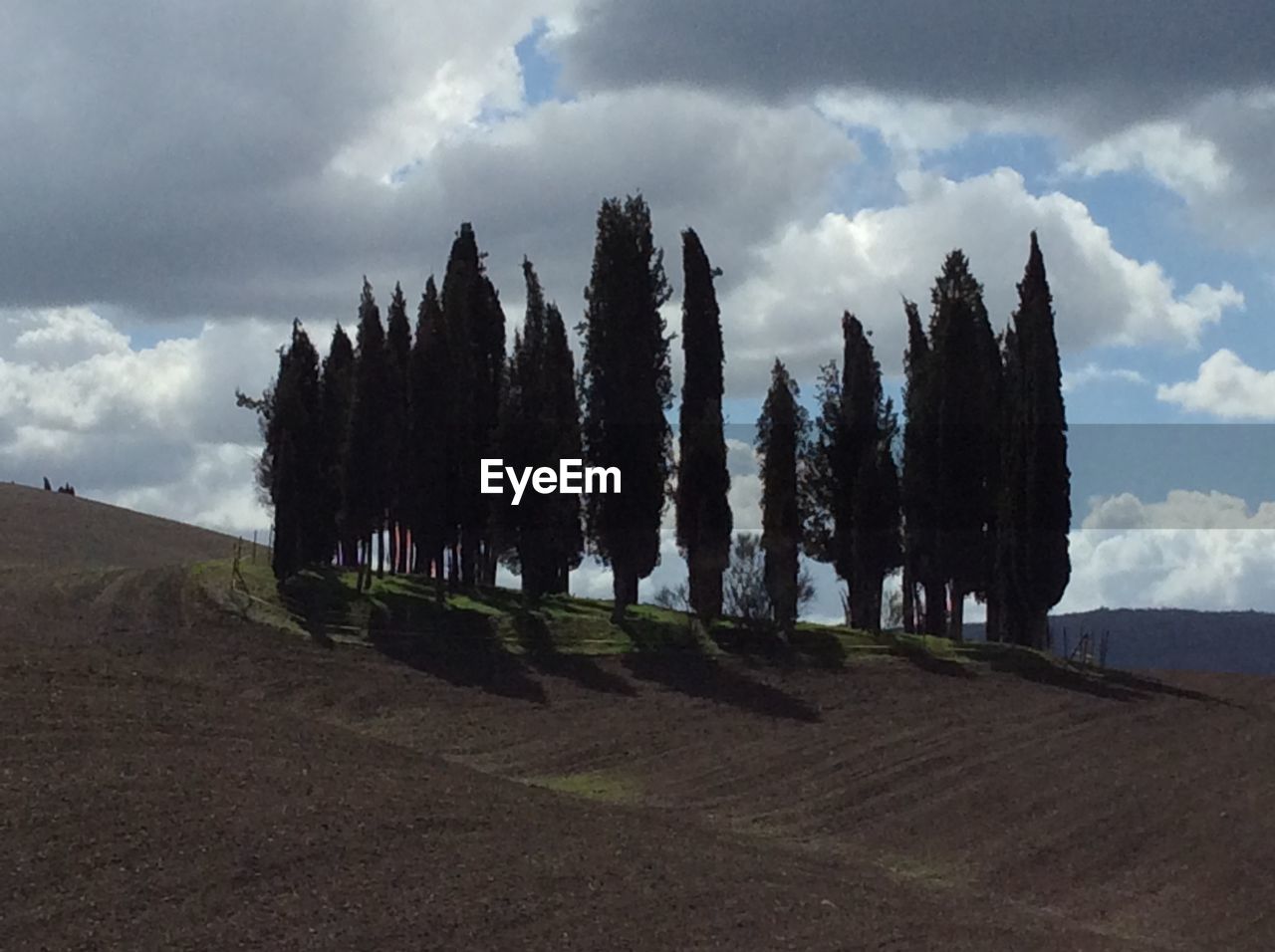 PANORAMIC VIEW OF TREES ON LAND AGAINST SKY