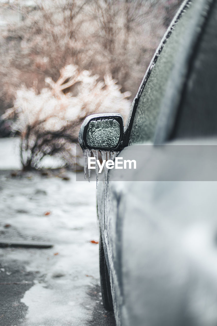 CLOSE-UP OF SNOW COVERED CAR ON TREE