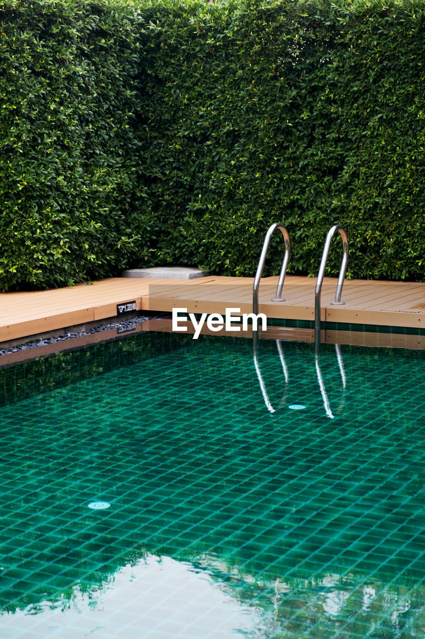 VIEW OF SWIMMING POOL AGAINST TREES AND PLANTS