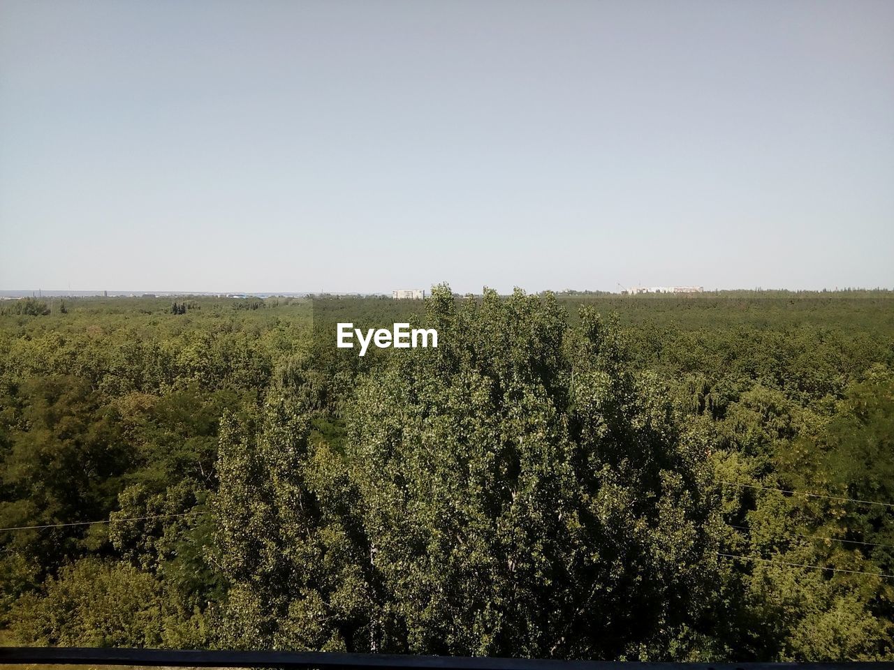 FIELD AGAINST CLEAR SKY