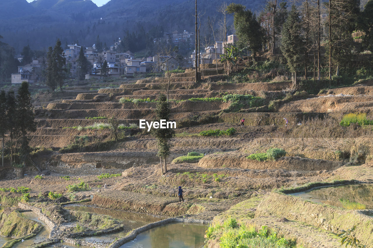 Scenic view of rice terraces at yuanyang county