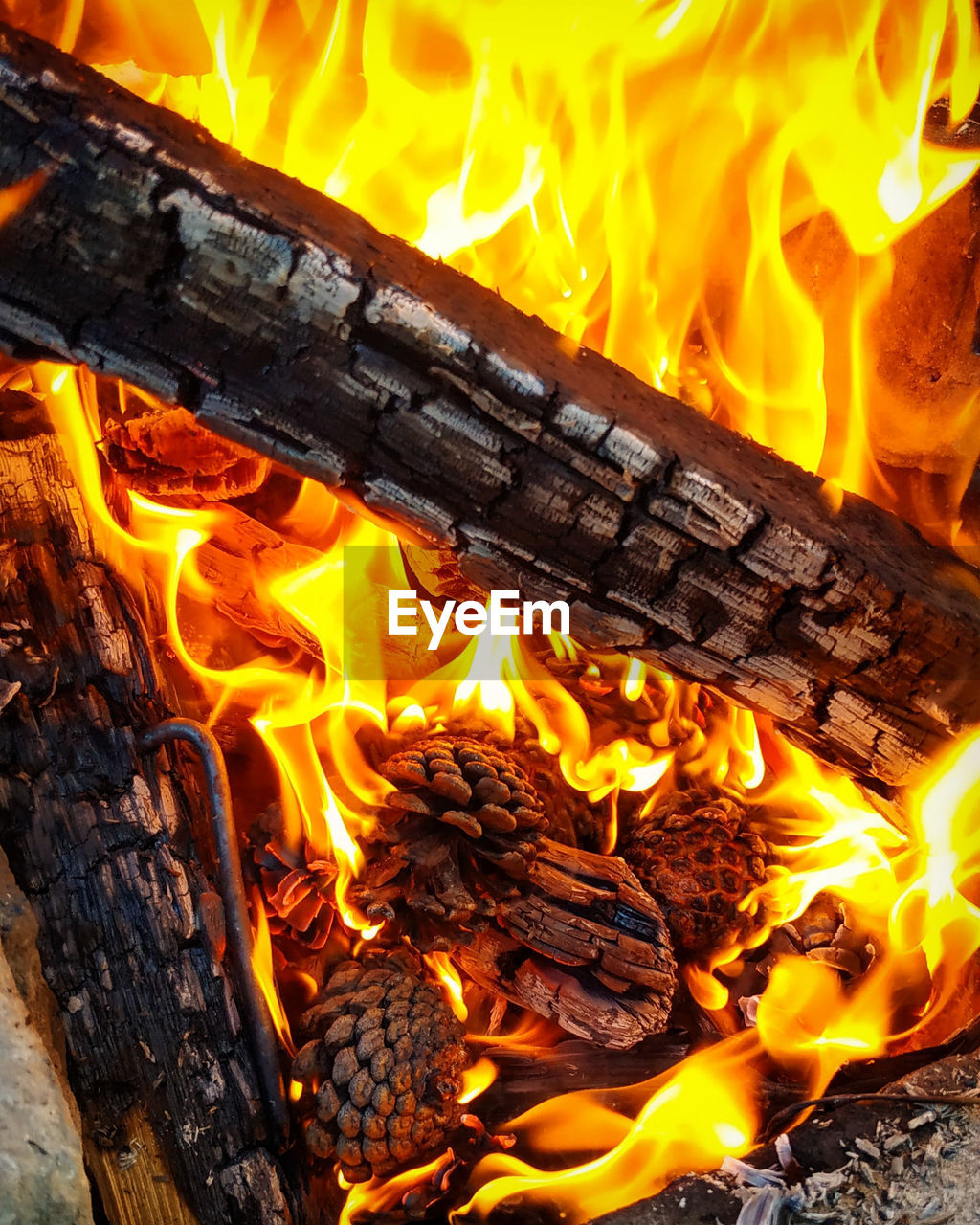 CLOSE-UP OF FIRE ON WOODEN LOG