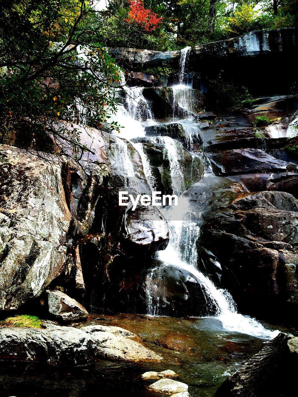 WATERFALL IN FOREST