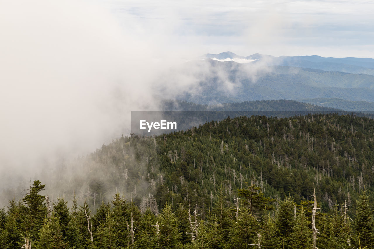 Scenic up close view of mountains against fog