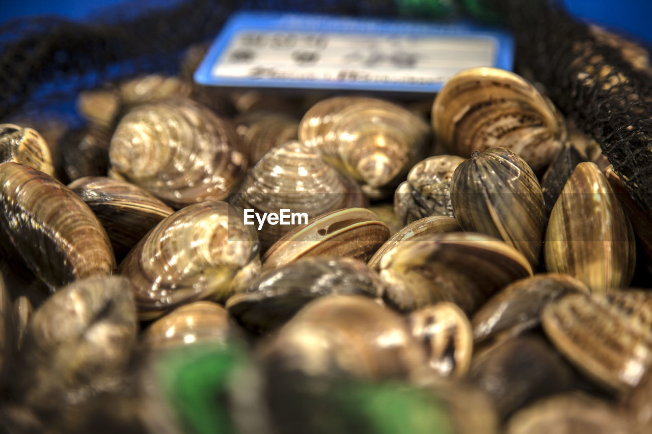 Clams at market for sale