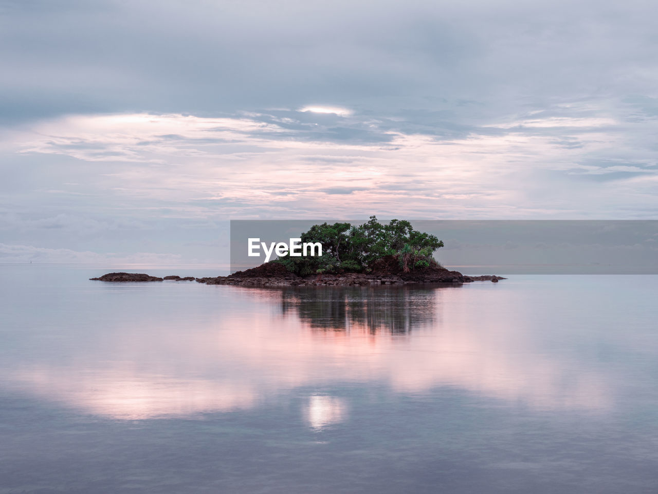 TREE BY SEA AGAINST SKY DURING SUNSET