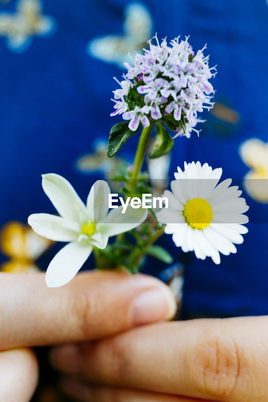 Cropped image of woman holding white flowers