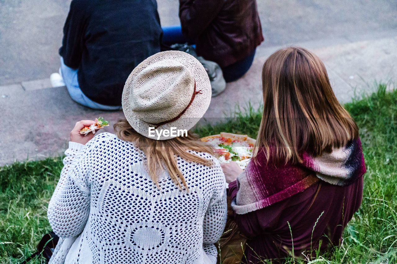 Rear view of people sitting on grass field