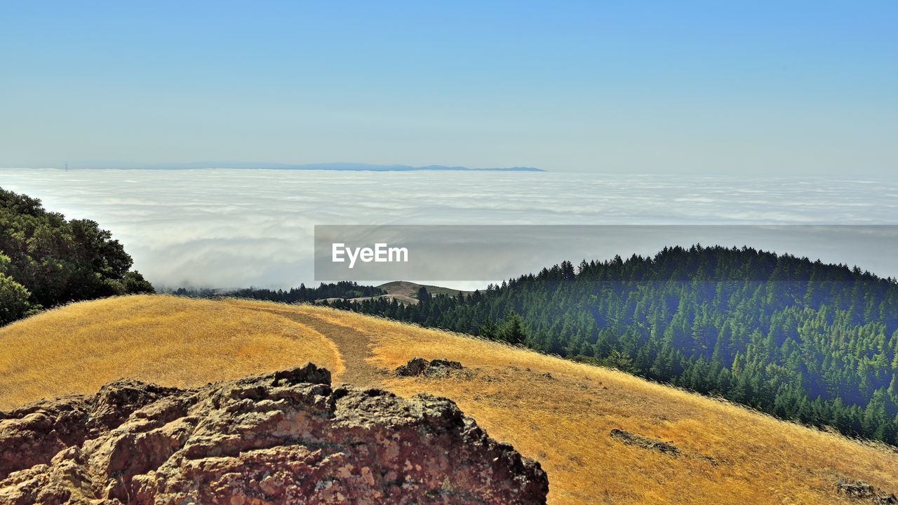 SCENIC VIEW OF LAND AGAINST SKY