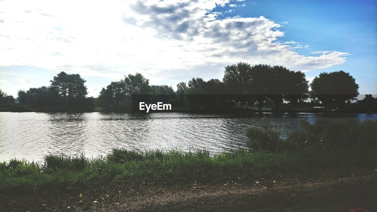 SCENIC VIEW OF LAKE AGAINST TREES