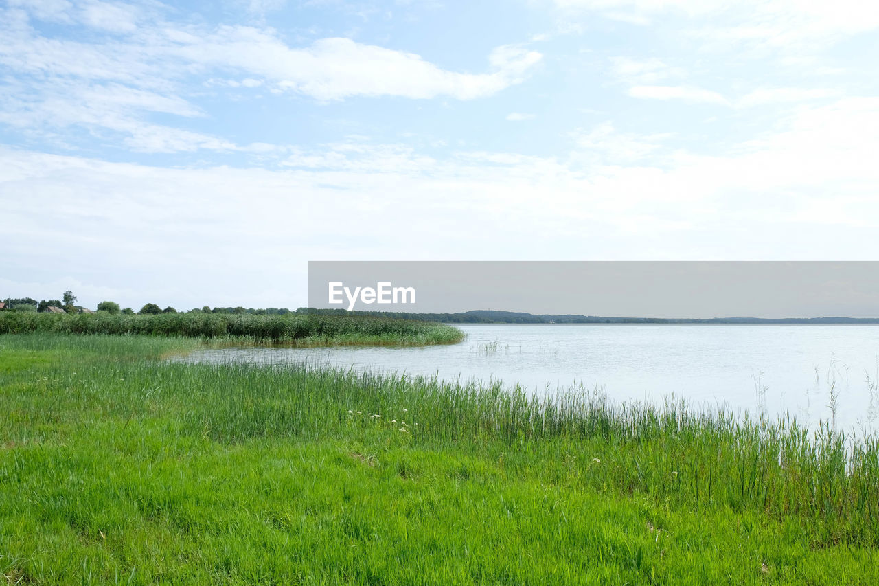 SCENIC VIEW OF GRASSY FIELD AGAINST SKY