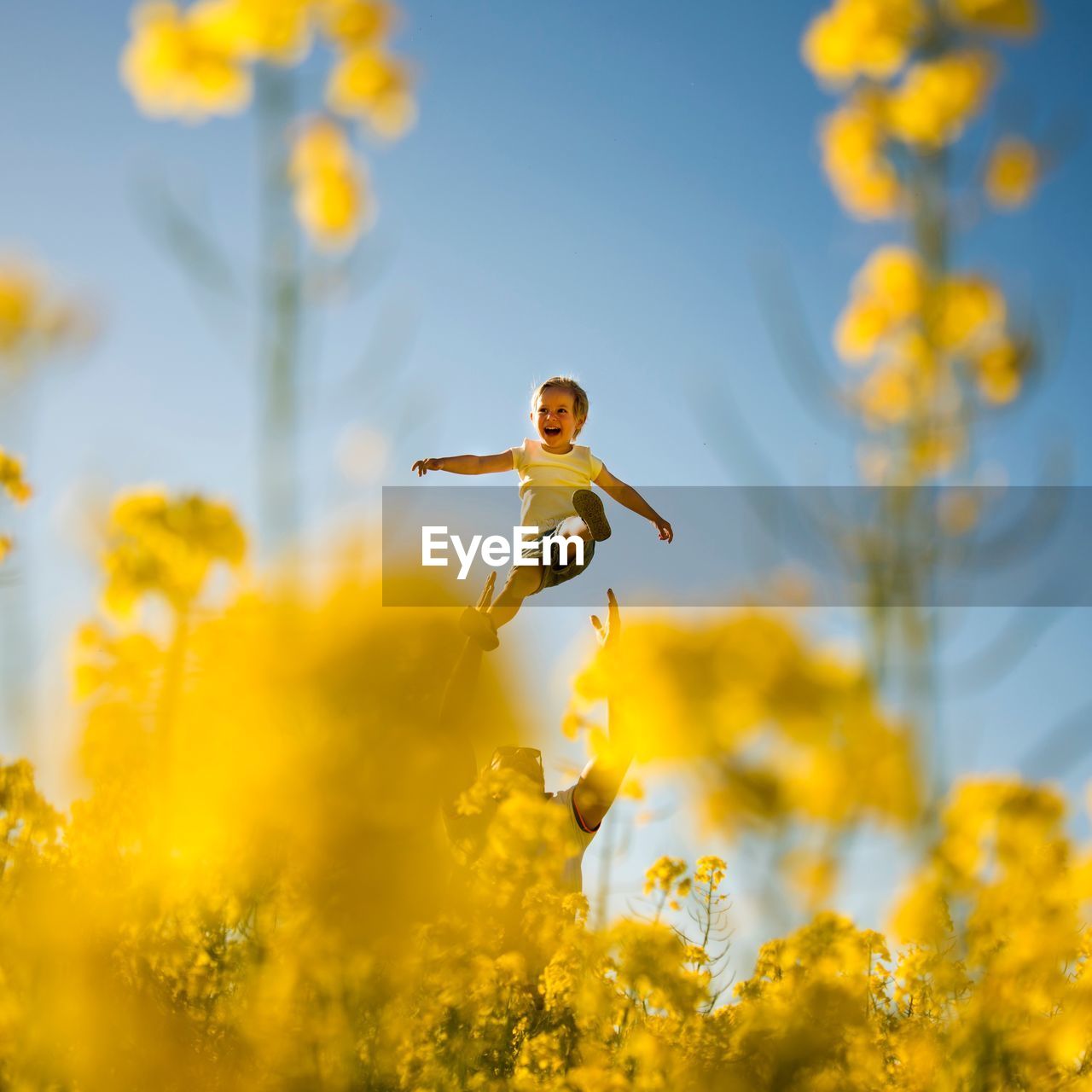 Low angle view of father holding son amidst yellow flowering plant against sky