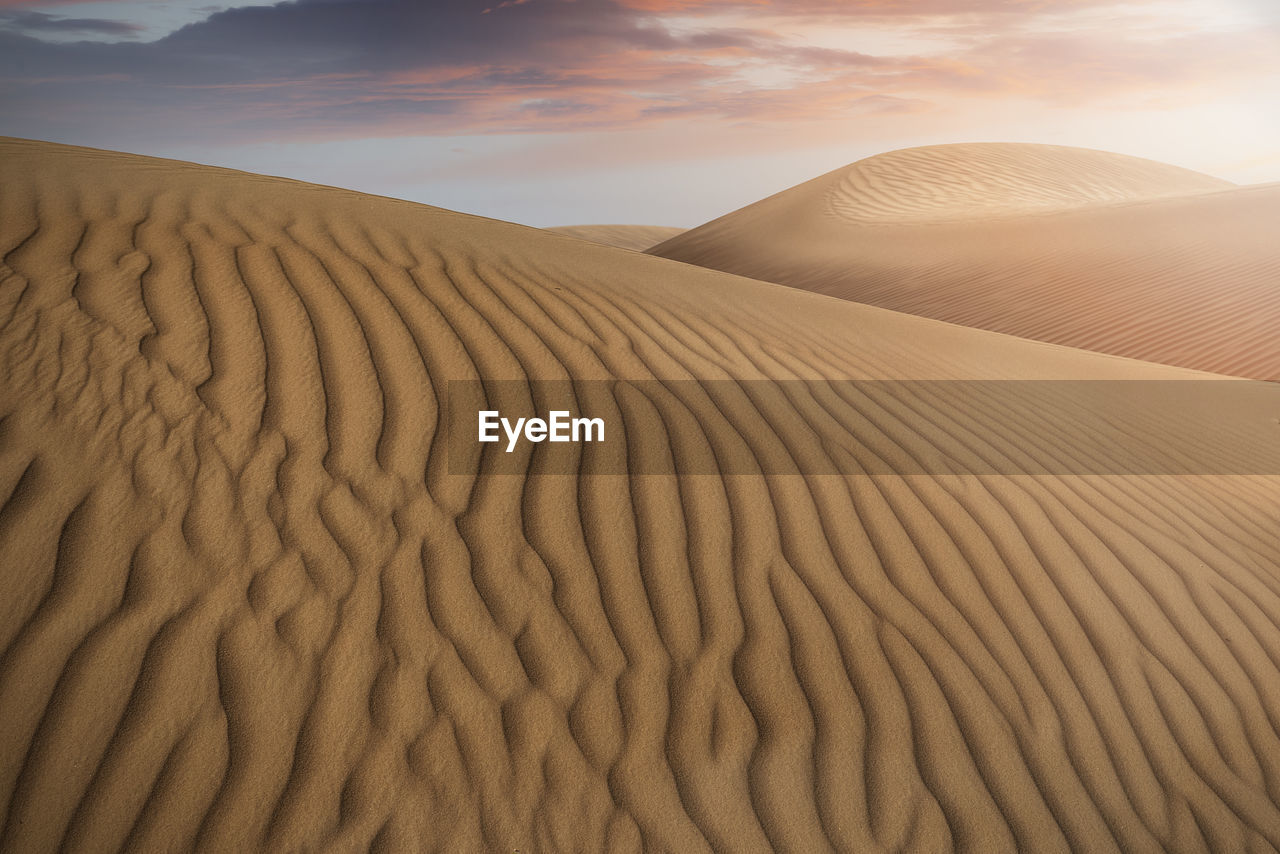 Sand dune in desert against sky