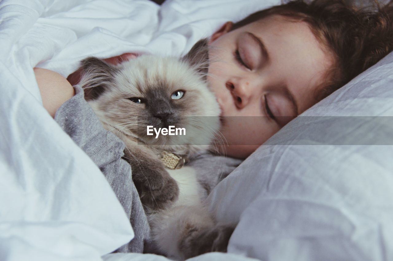 Portrait of ragdoll cat with sleeping girl on bed at home