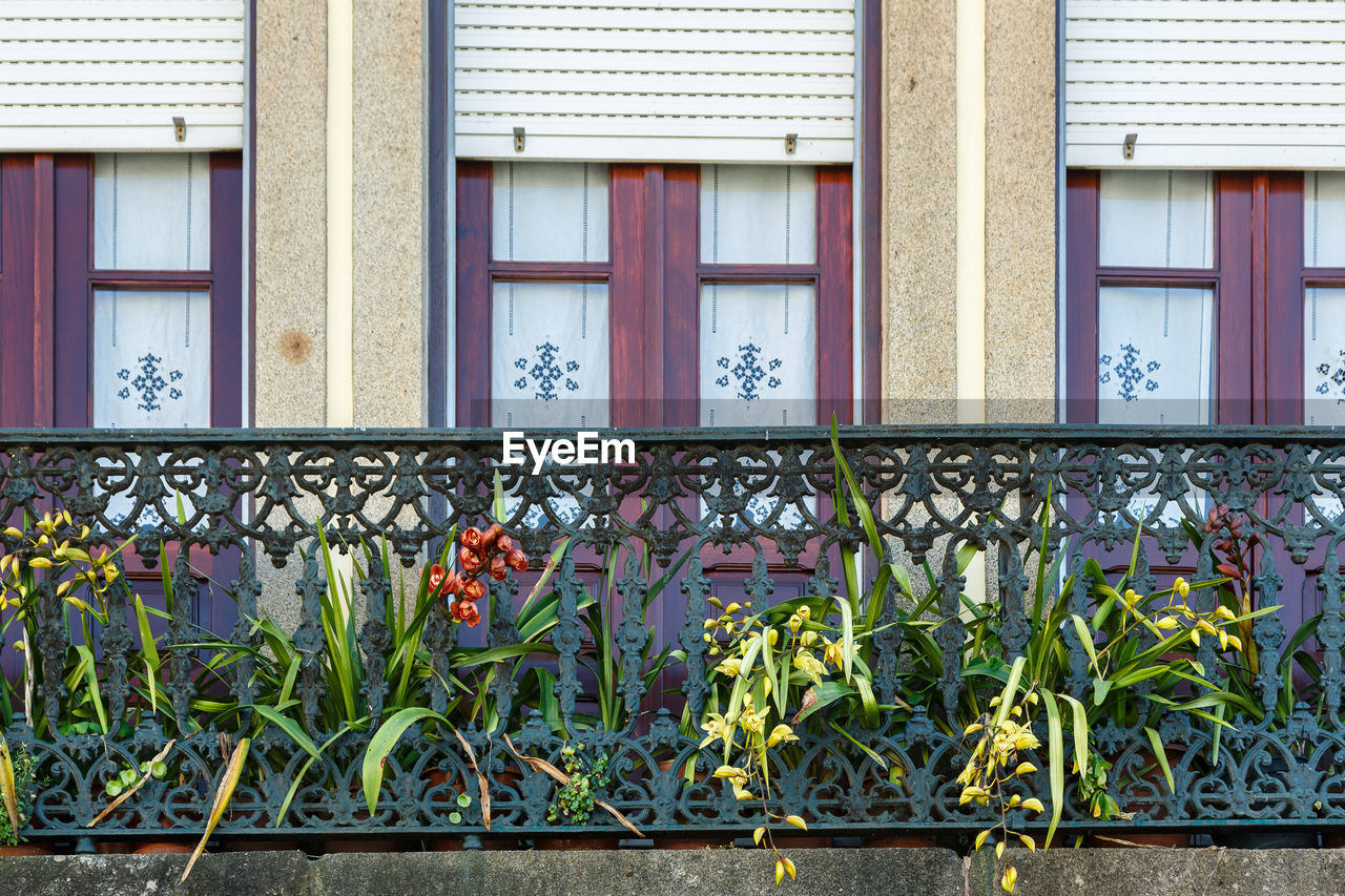 architecture, built structure, building exterior, building, window, no people, day, urban area, house, plant, railing, residential district, closed, outdoors, metal, facade, nature, flower, city, entrance, security, protection, wall - building feature, iron, door, wall, fence, flowering plant