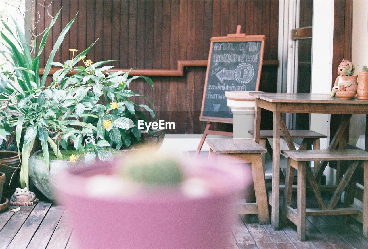 Potted plants by table at restaurant