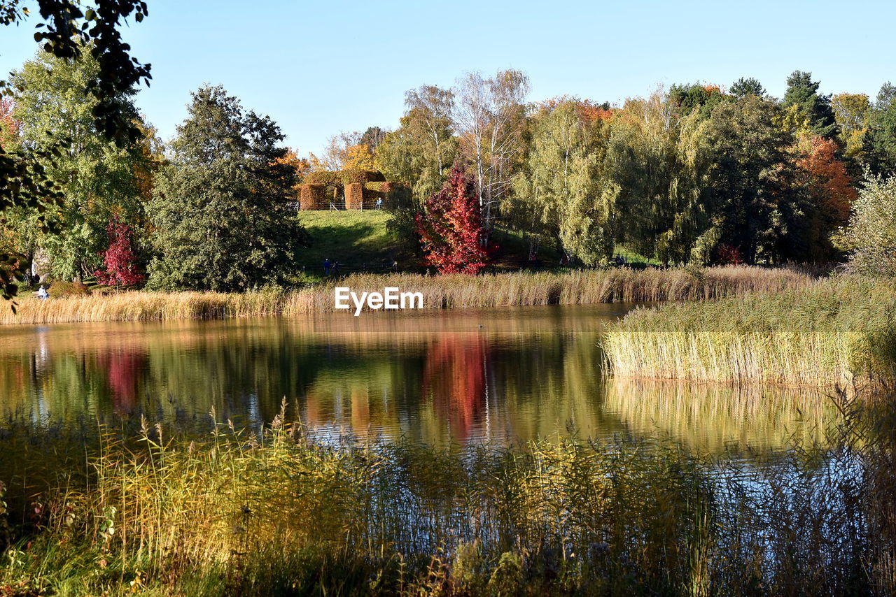 SCENIC VIEW OF LAKE AGAINST TREES