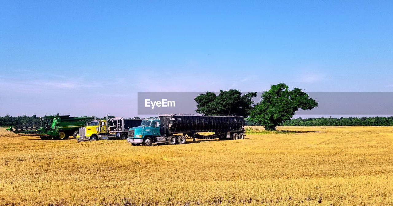 SCENIC VIEW OF FARM AGAINST SKY