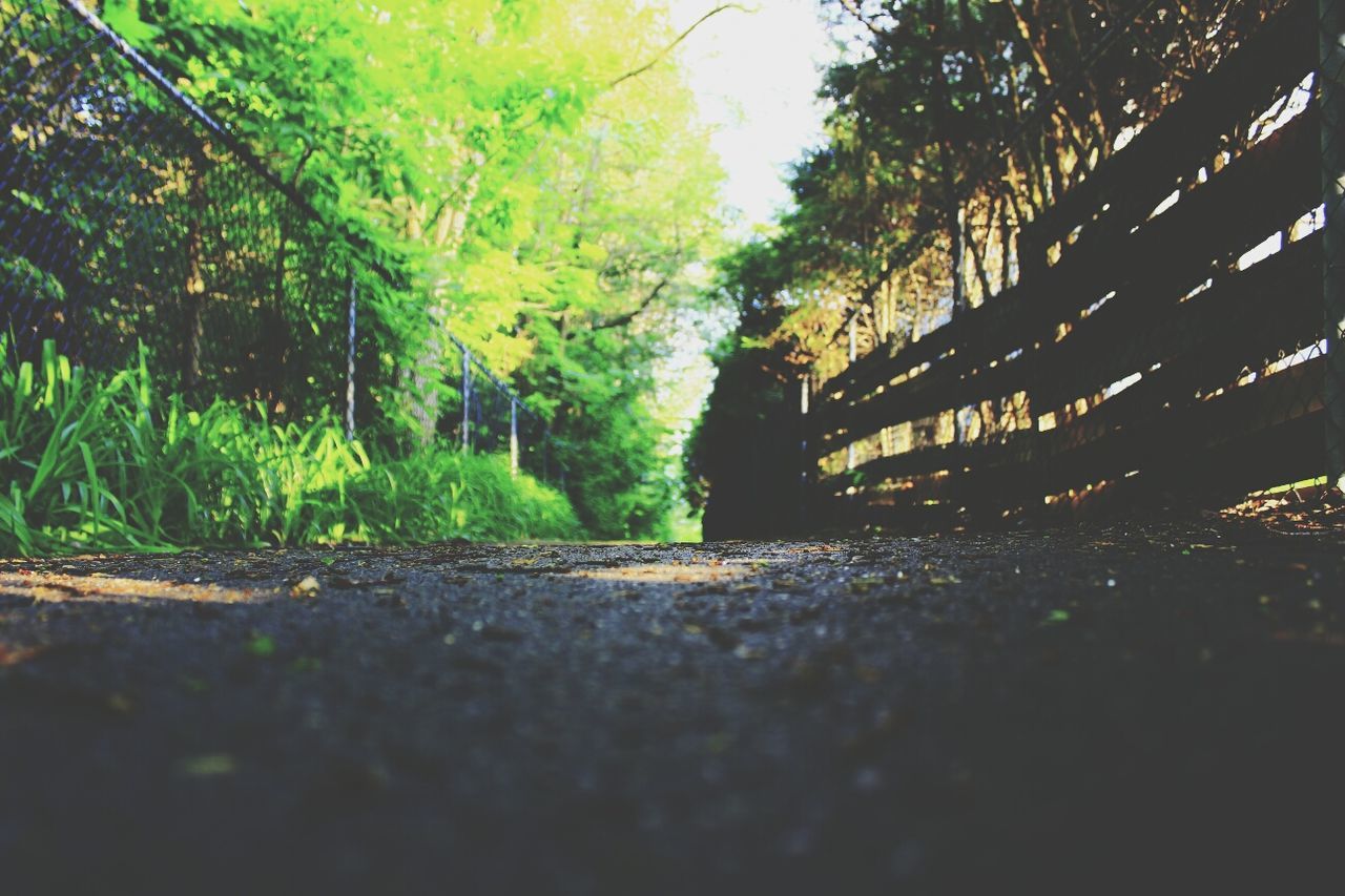 View along footpath between fences