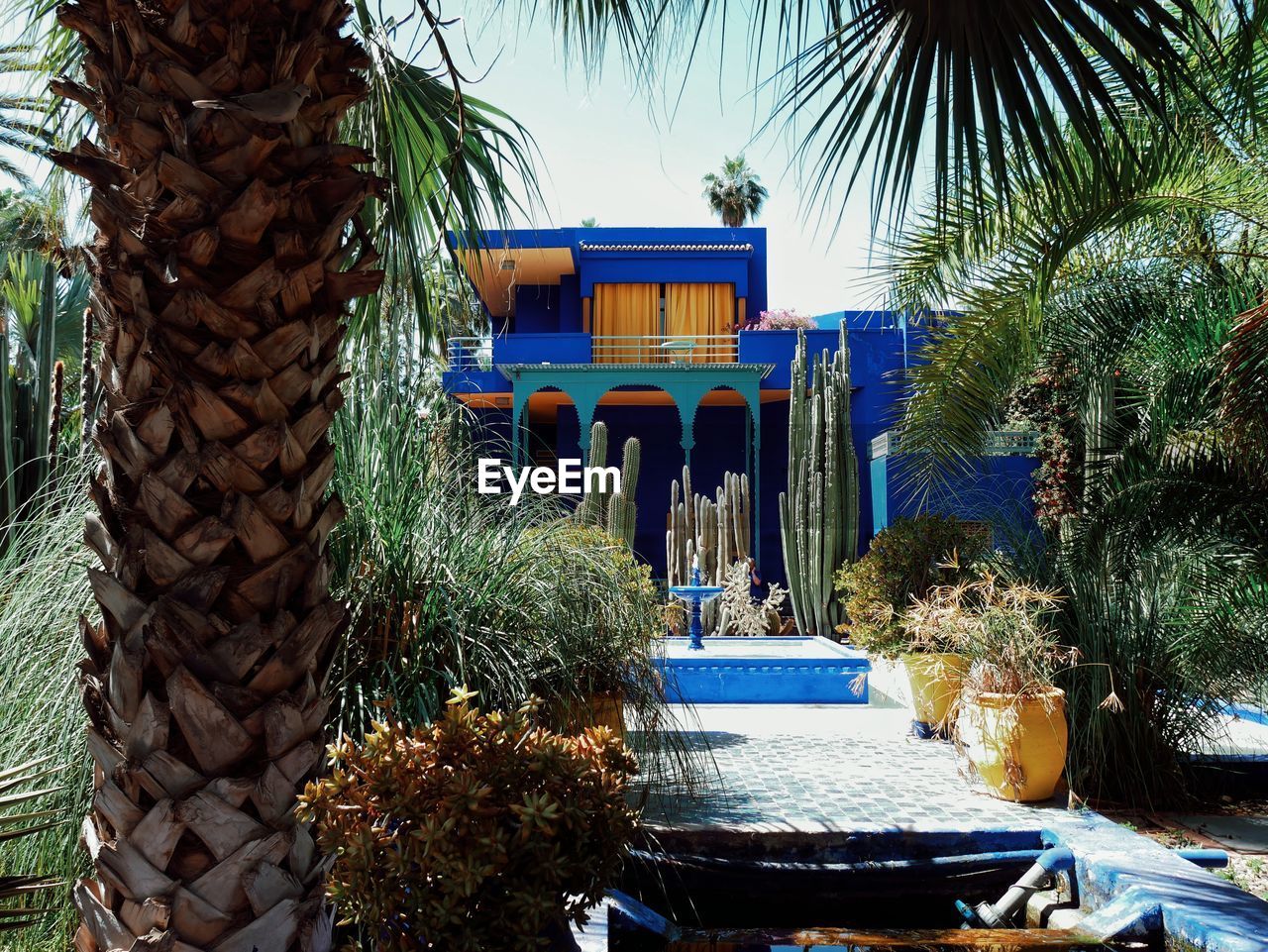 PALM TREES IN FRONT OF BUILT STRUCTURE