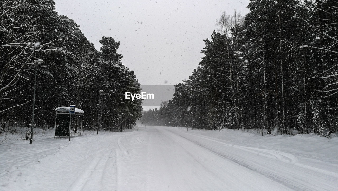 TREES IN SNOW AGAINST SKY