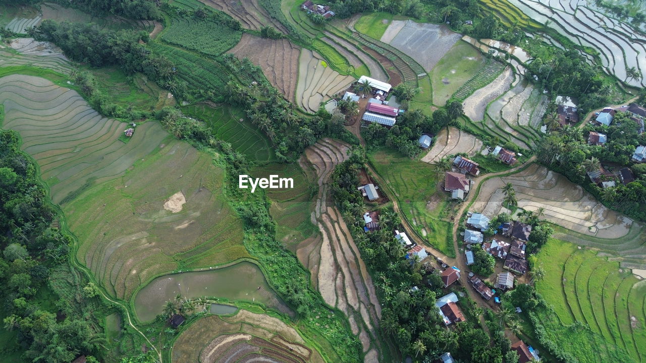 agriculture, aerial photography, landscape, environment, bird's-eye view, rural scene, field, land, aerial view, plant, rice paddy, farm, growth, rice, terrace, scenics - nature, high angle view, crop, nature, residential area, green, terraced field, tree, no people, beauty in nature, outdoors, architecture, day, social issues, estate, building, water, transportation, tranquility, environmental conservation, city, built structure