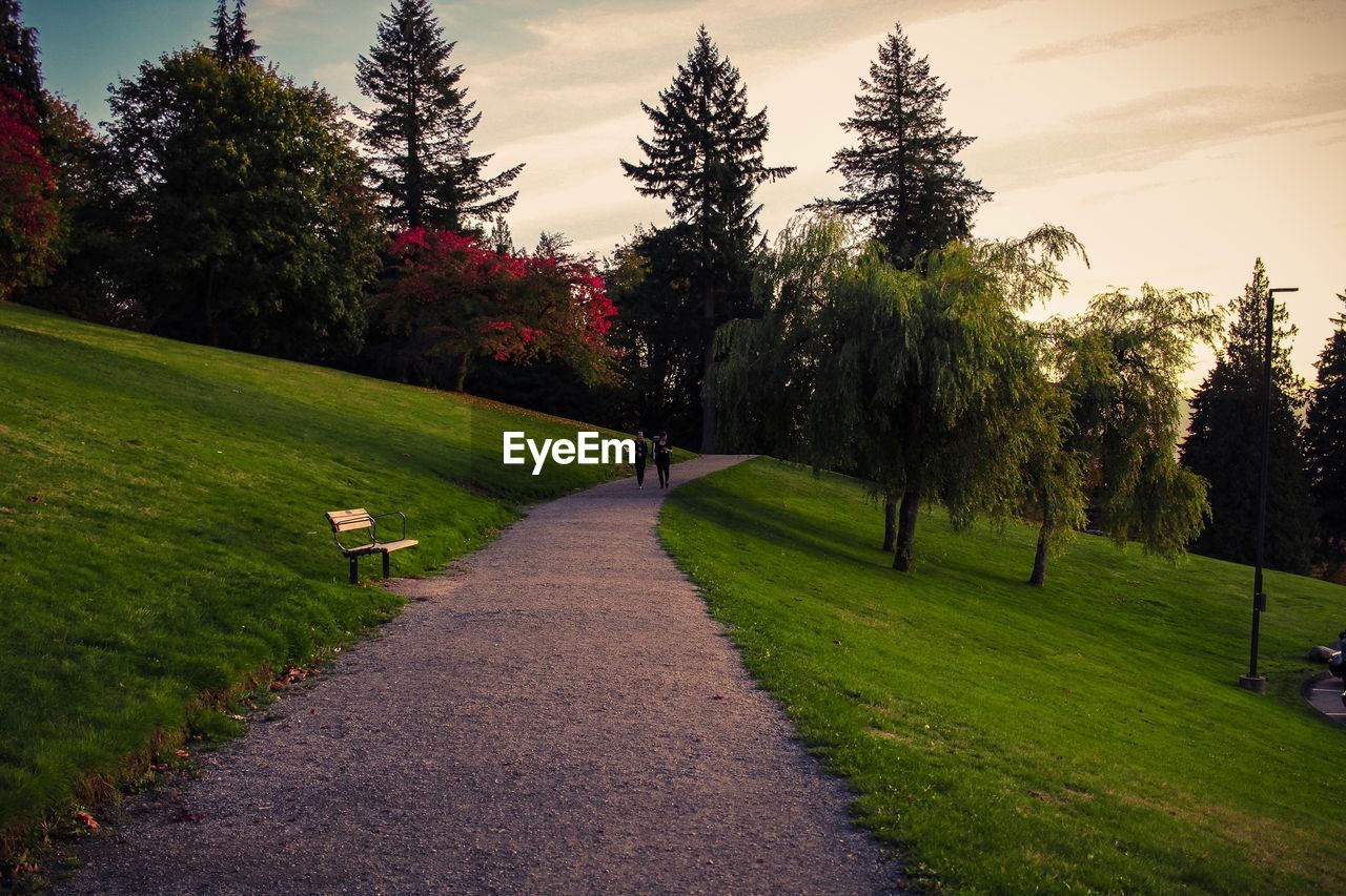 FOOTPATH IN PARK AGAINST SKY