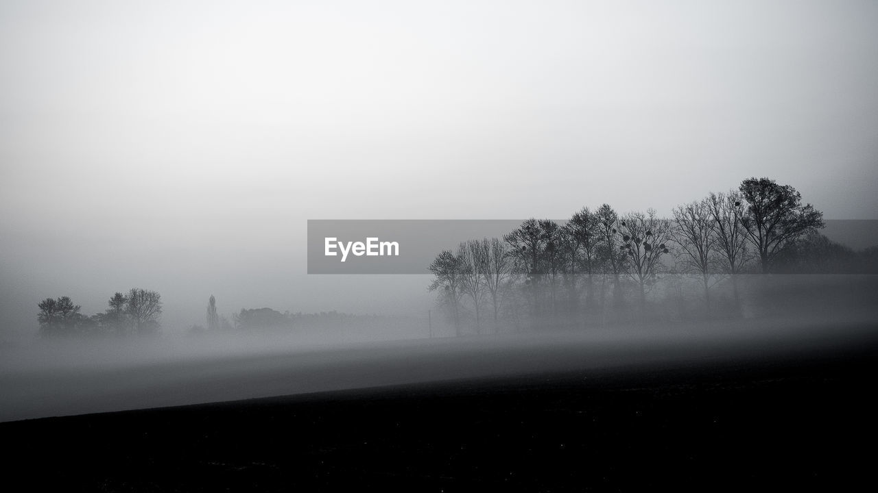 Trees on field against sky during foggy weather