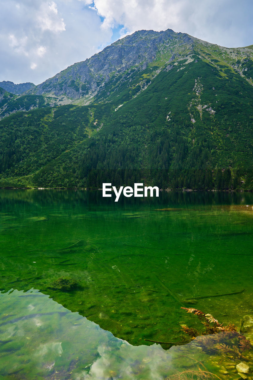 Mountains range near beautiful lake. tatra national park in poland. morskie oko or sea eye lake